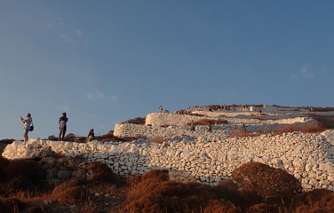 P8076823a.jpg